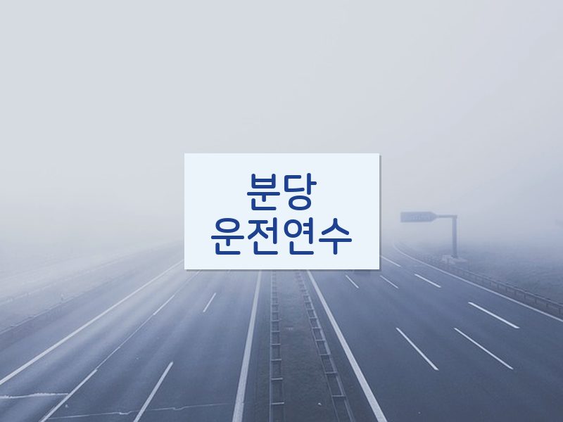 분당운전연수 후기