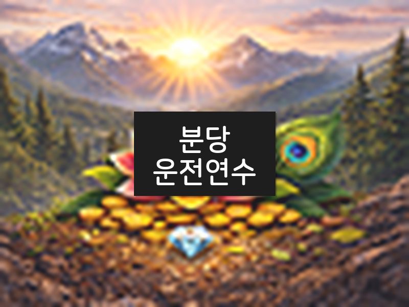 분당운전연수 후기