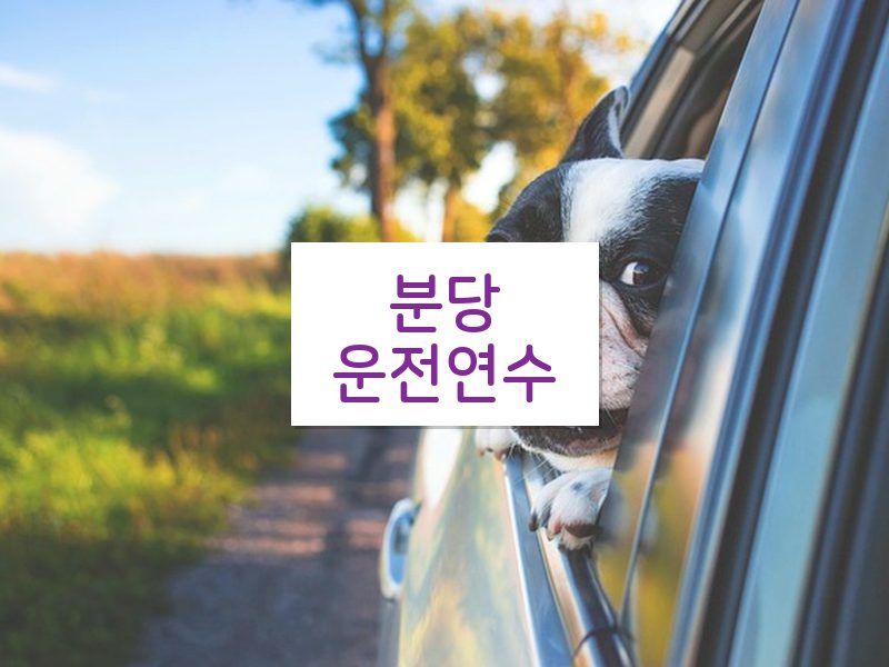 분당운전연수 후기