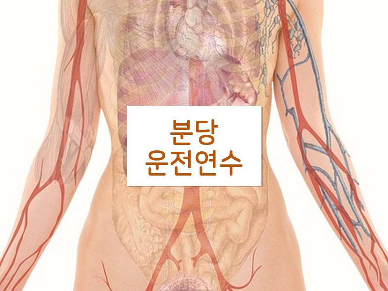 분당운전연수 후기