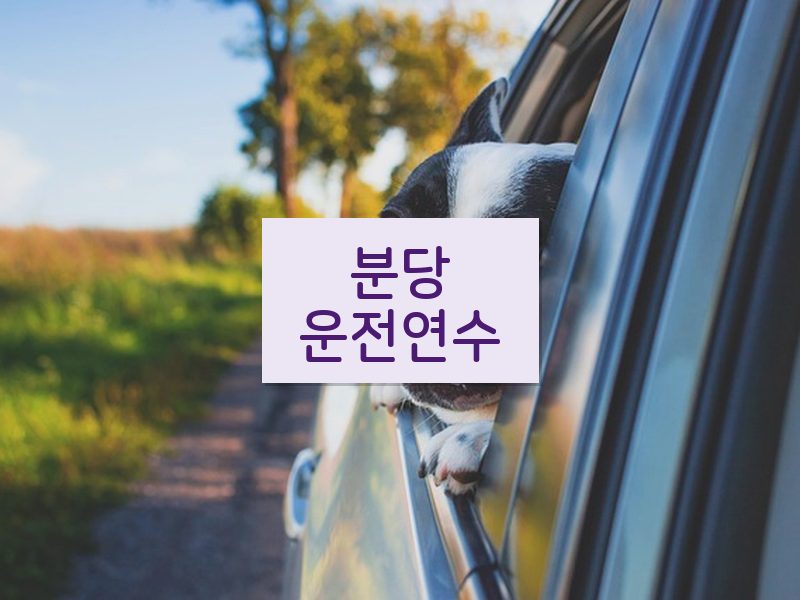 분당운전연수 후기