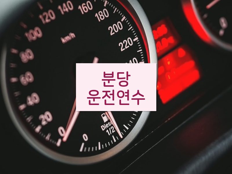 분당운전연수 후기