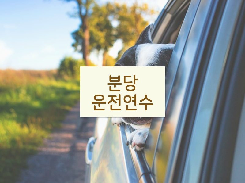 분당운전연수 후기