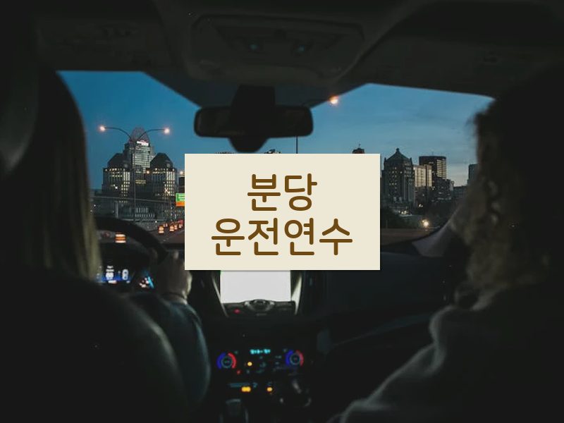 분당운전연수 후기