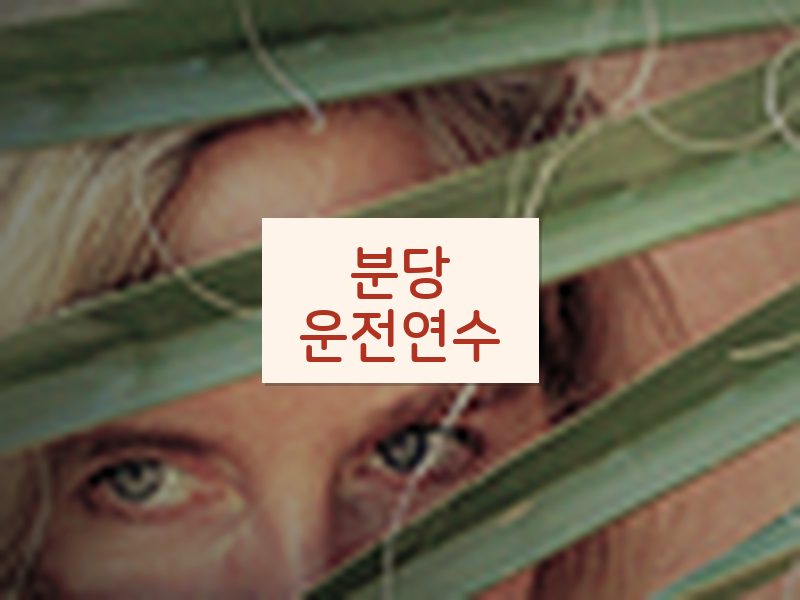 분당운전연수 후기