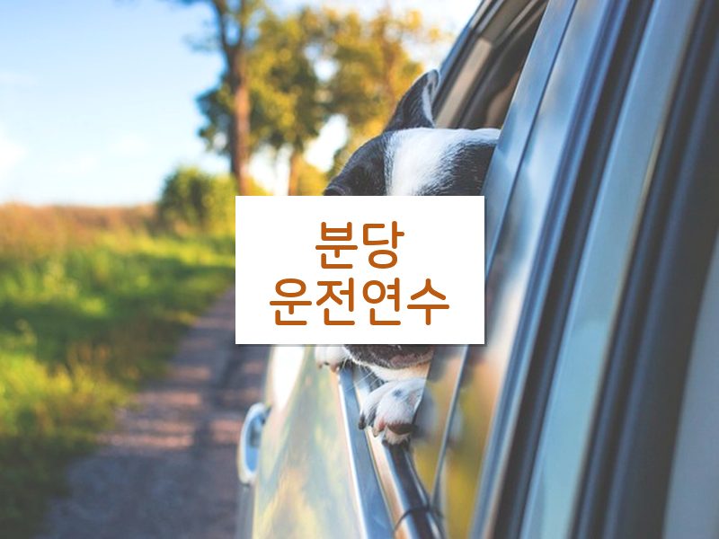 분당운전연수 후기