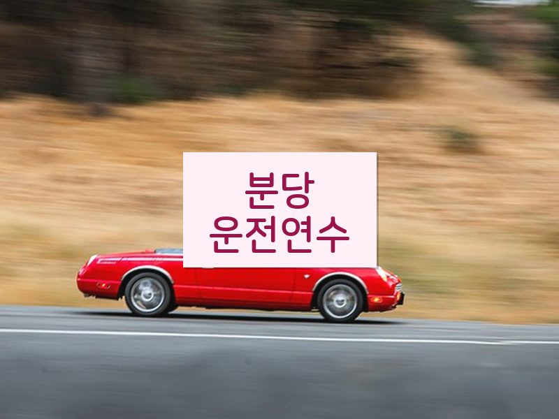 분당운전연수 후기