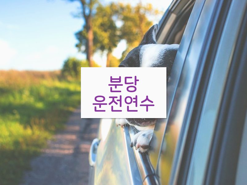 분당운전연수 후기
