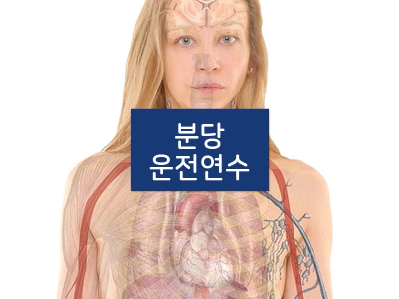분당운전연수 후기