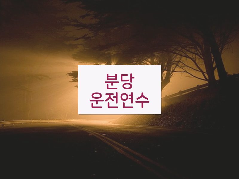 분당운전연수 후기