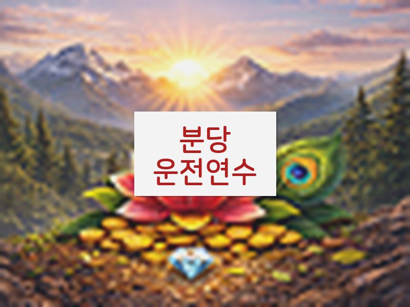 분당운전연수 후기