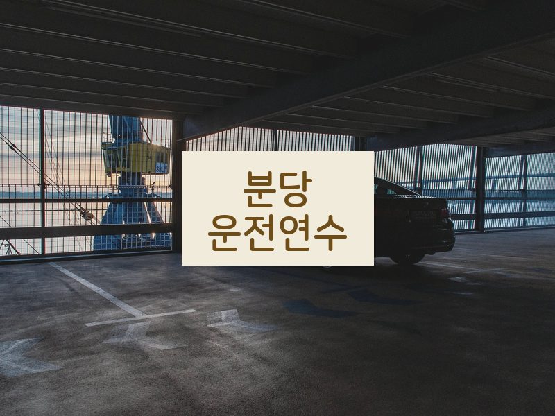 분당운전연수 후기