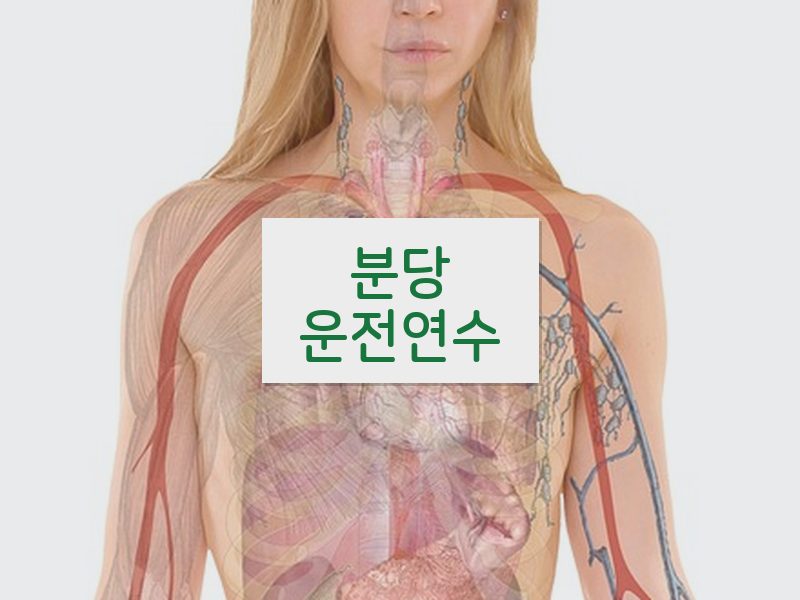 분당운전연수 후기