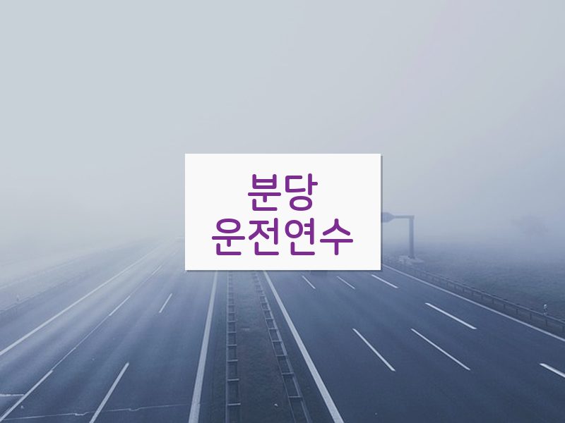 분당운전연수 후기