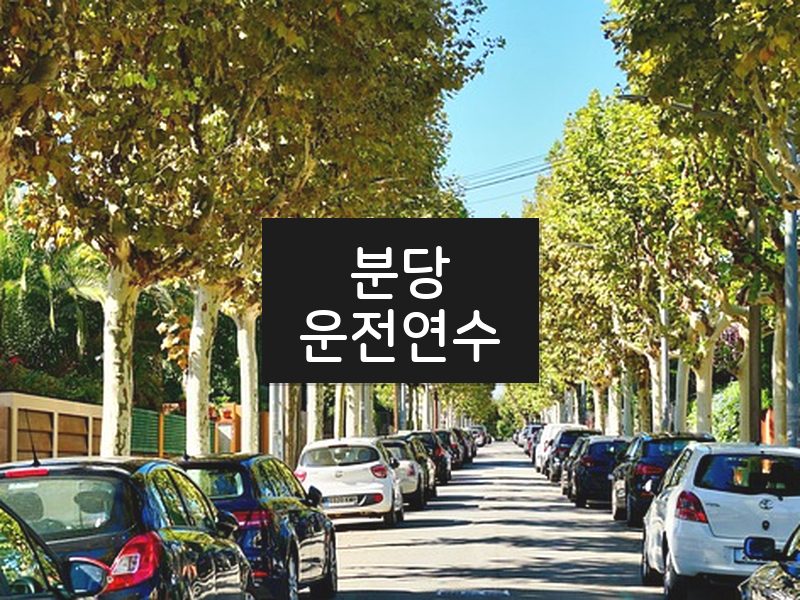 분당운전연수 후기