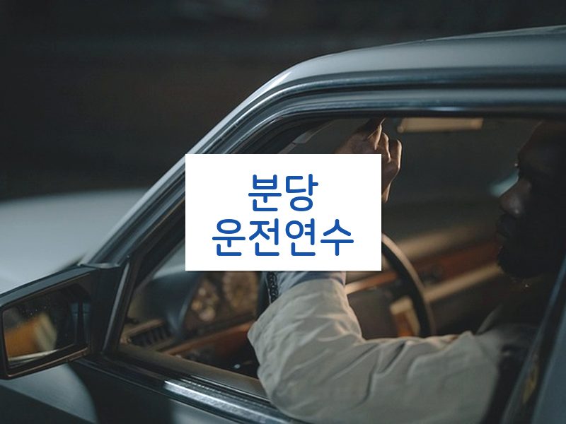 분당운전연수 후기