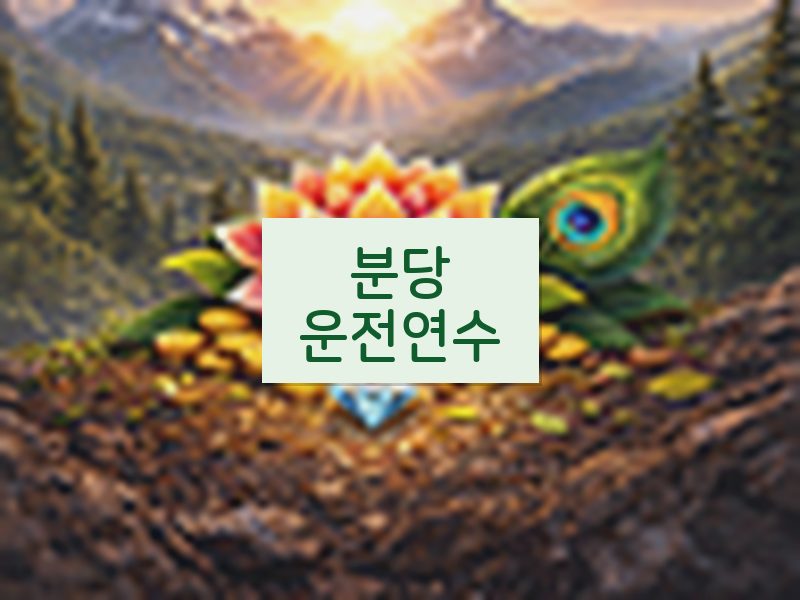 분당운전연수 후기