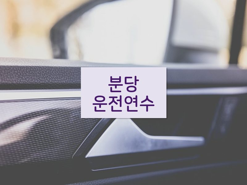 분당운전연수 후기