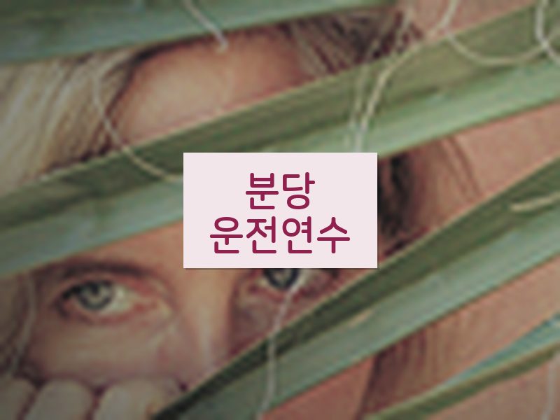 분당운전연수 후기