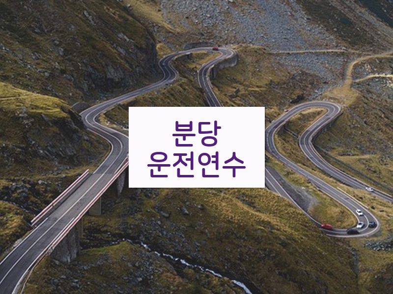 분당운전연수 후기