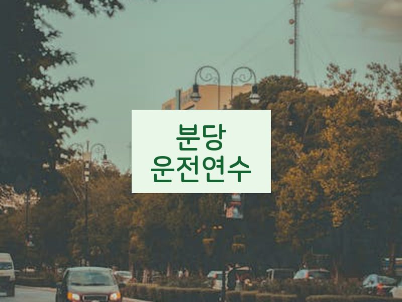 분당운전연수 후기