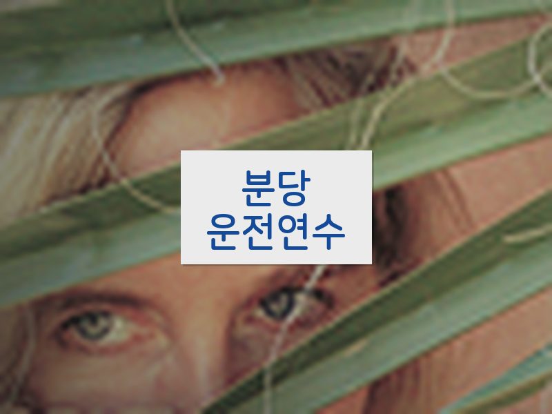 분당운전연수 후기