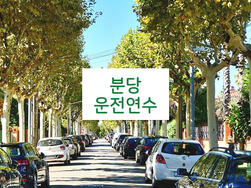 분당운전연수 후기