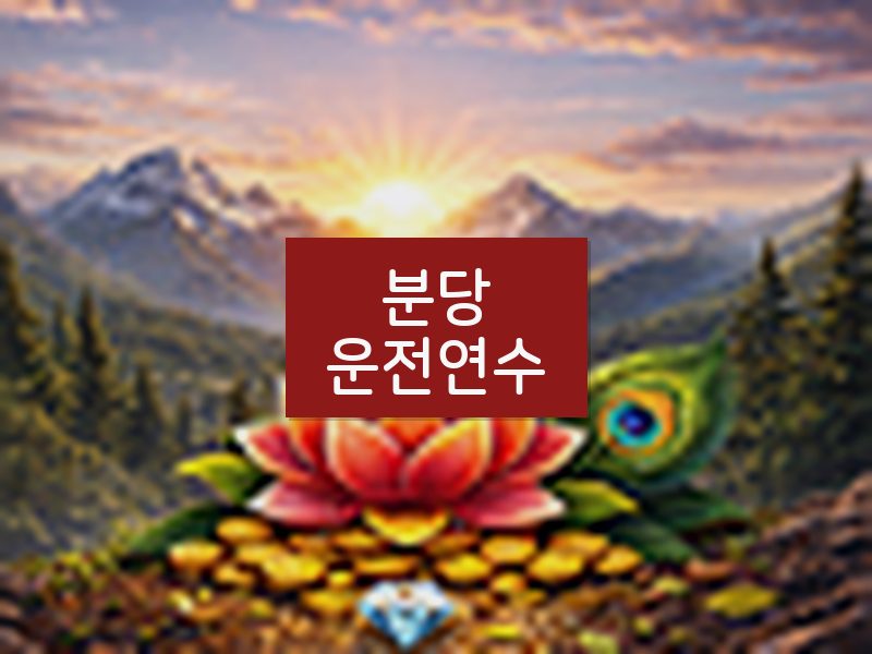 분당운전연수 후기
