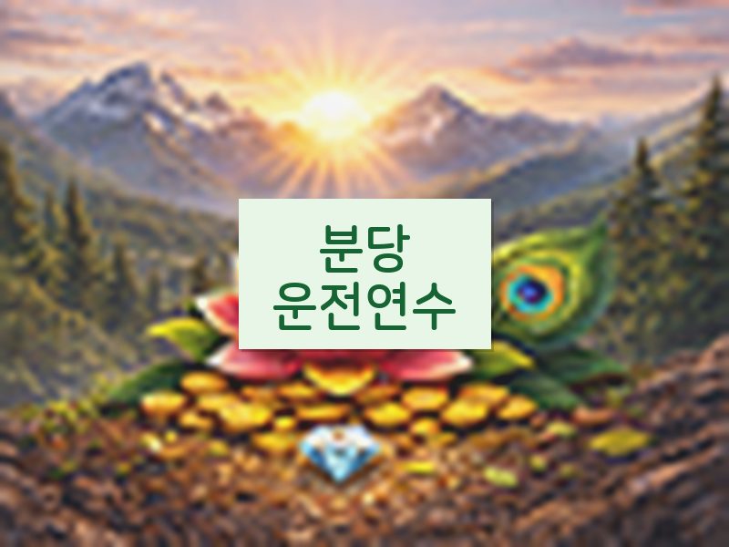분당운전연수 후기