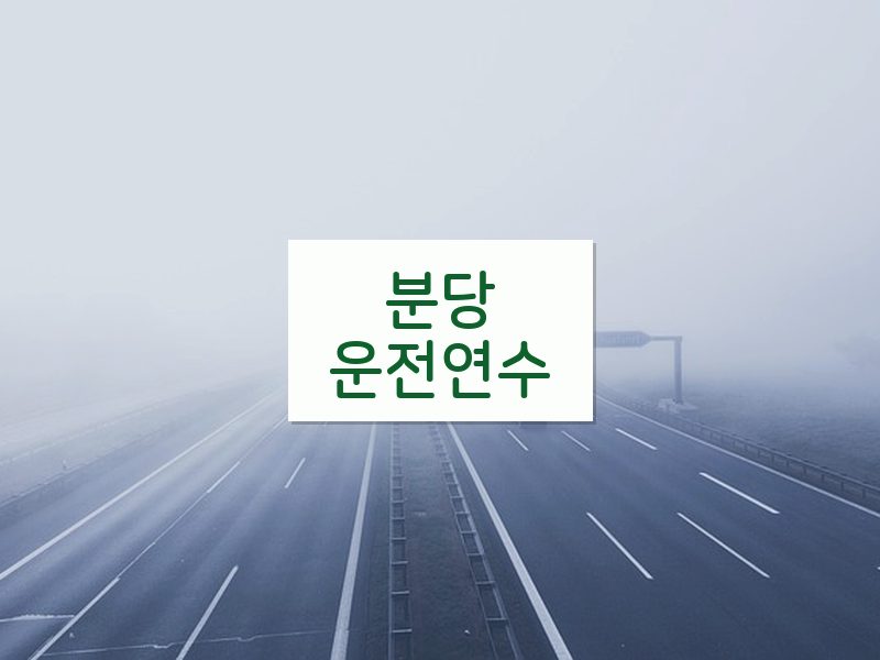 분당운전연수 후기