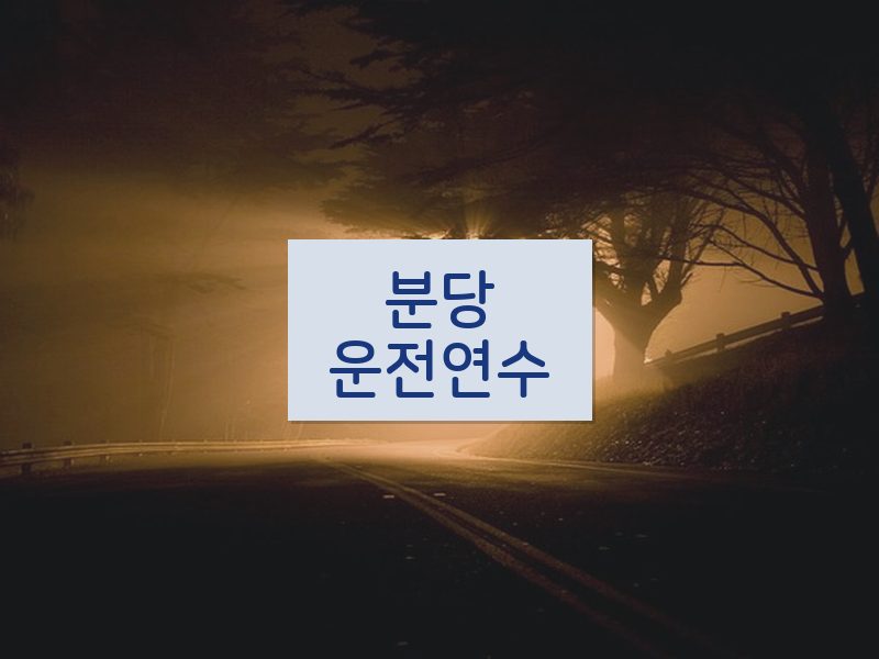 분당운전연수 후기