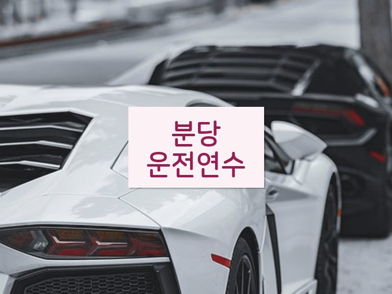 분당운전연수 후기