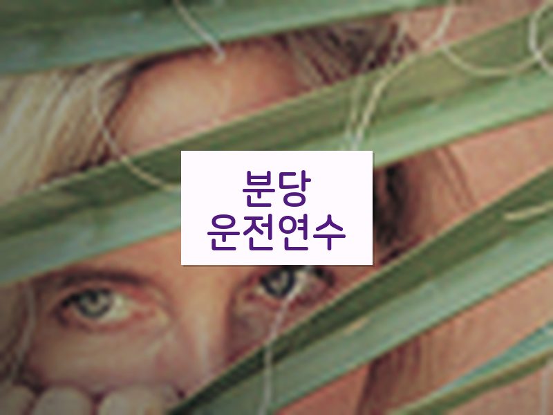 분당운전연수 후기