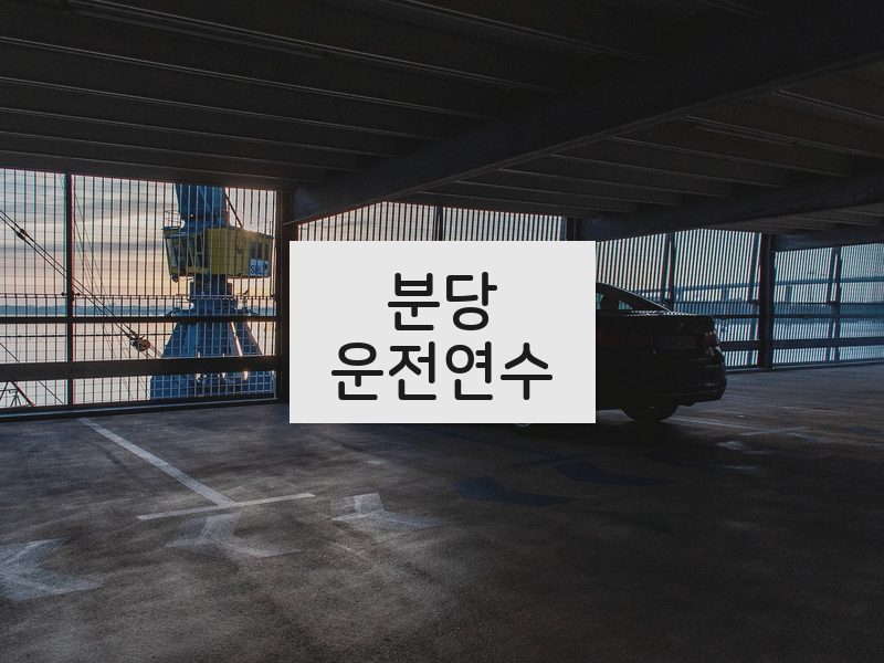 분당운전연수 후기