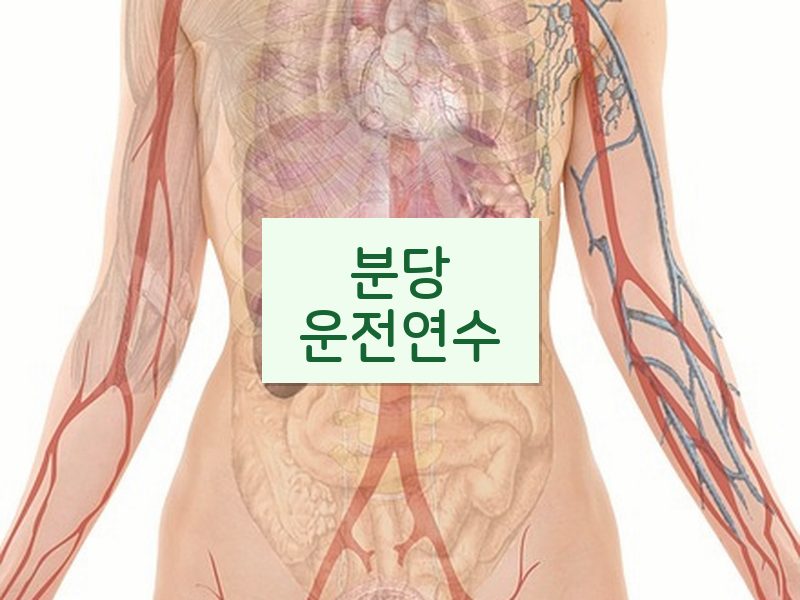 분당운전연수 후기