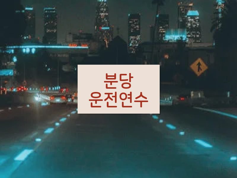 분당운전연수 후기