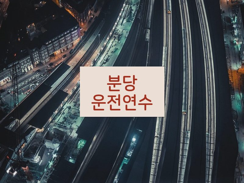 분당운전연수 후기