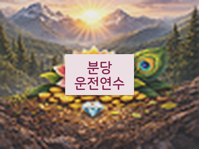 분당운전연수 후기