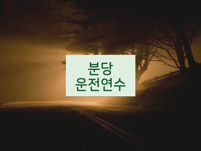 분당운전연수 후기