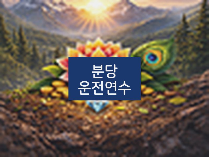 분당운전연수 후기