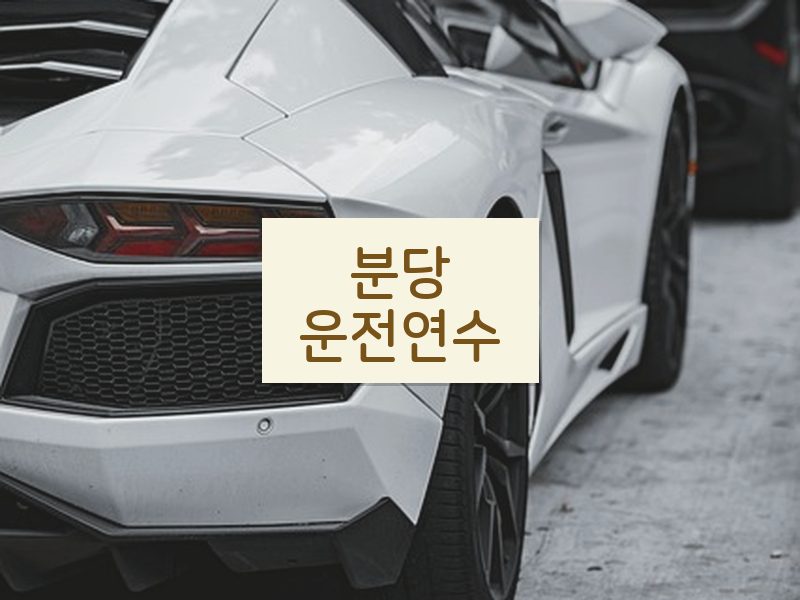 분당운전연수 후기