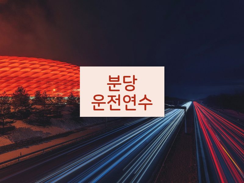 분당운전연수 후기