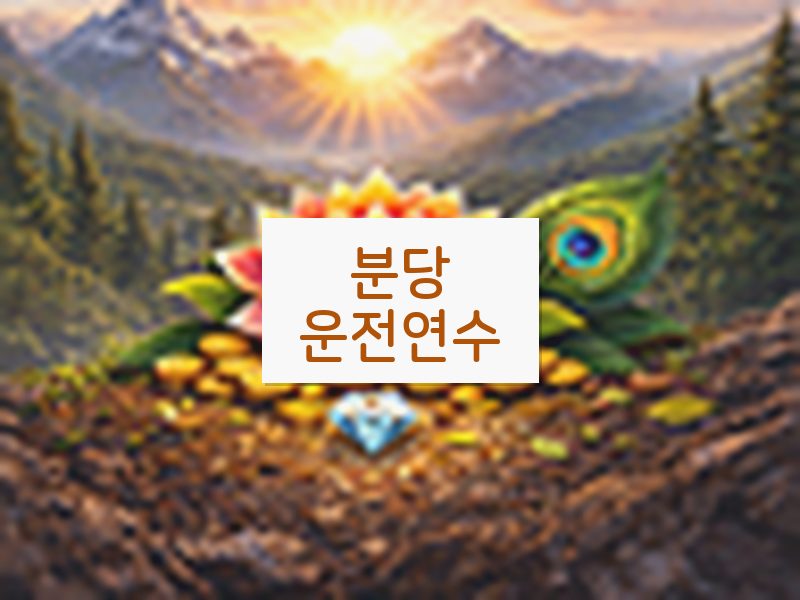 분당운전연수 후기