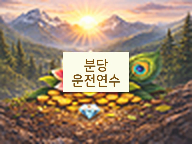 분당운전연수 후기