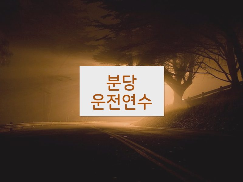 분당운전연수 후기