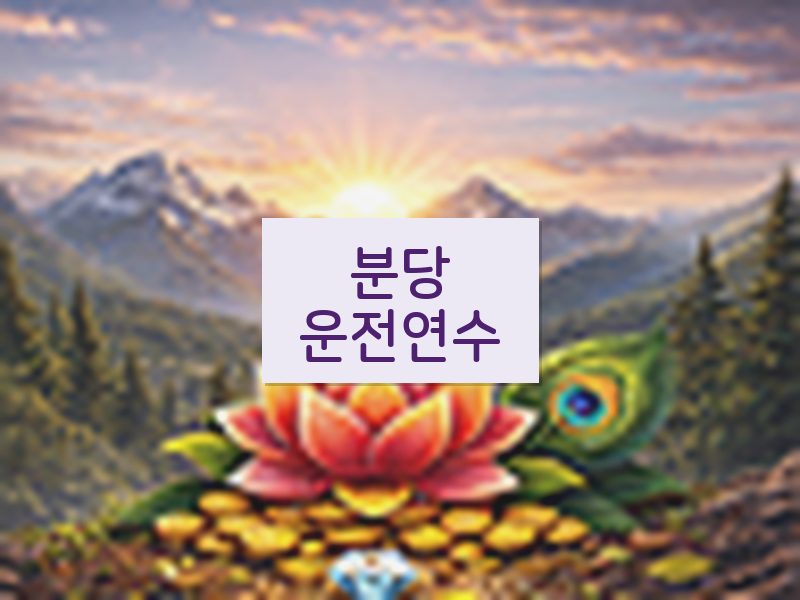 분당운전연수 후기