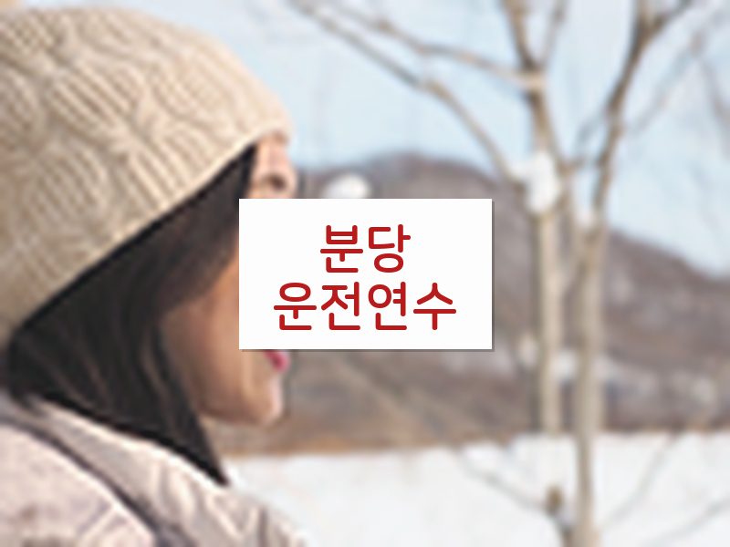 분당운전연수 후기