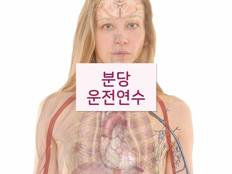 분당운전연수 후기