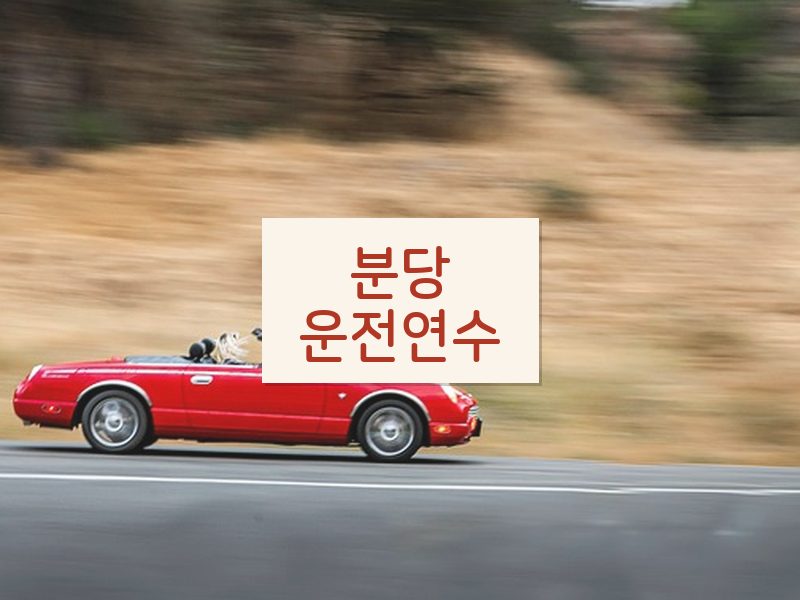 분당운전연수 후기
