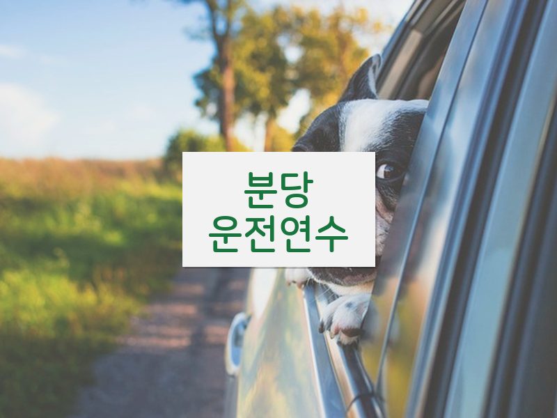 분당운전연수 후기